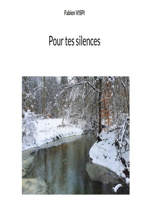 cover image of Pour tes silences